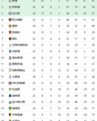  勒沃库森主场惨败跌至积分榜中游  