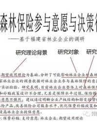 文章摘要的内容  
